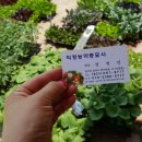 덕정농약종묘사 네이버블로그