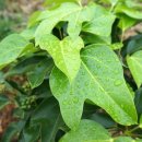 정병석농장 이미지