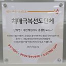 대한적십자사봉사회 보령지구협의회 | 대한적십자사 충남도지사 치매극복 활동 돋보여