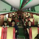 효영농장 이미지