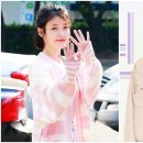 가제 이미지