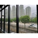 퍼피스테이 이미지