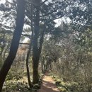 환경성질환 예방관리센터(비자림) | (제주 비자림) 제주여행에서 제일 좋았던 비자림&amp;비자숲힐링센터 방문 후기