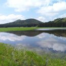 민 목장 이미지