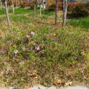 오정중앙경로당 이미지