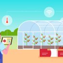 스마트 농산물 유통과 마케팅 실무 이미지