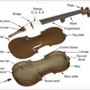 왕초보 바이올린 이미지