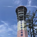 선유도 | 군산 선유도 짚라인 후기