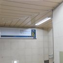 오티콘보청기 수영점 이미지