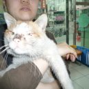 남부세탁소 이미지