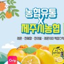 제주커머스 이미지