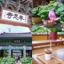 은혜서점 | 서울 봉은사 연꽃 축제 연꽃 피는 시기 강남 코엑스 가볼만한곳 추천 카페 후기
