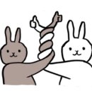 나나이로상점 이미지