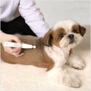 (주)바를참스킨 | 강아지피부 고민 끝? 바이랩 스킨케어 로션, 보습부터 습진까지 솔직 후기 🐶