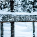성남시여성복지회관 이미지
