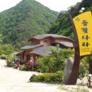 들꽃펜션 이미지