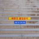 용궁카페 이미지