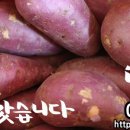 이프(If) 이미지