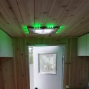 낼 입양갑니다! 이미지