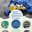 티에스피 이미지