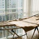 세탁의정석 이미지