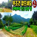 여주-0806 네이버블로그