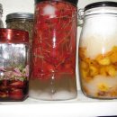 보리수하 이미지