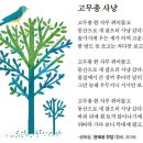행복사냥 이미지