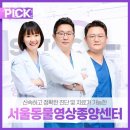 뉴천지호텔 | 중구 을지로가 동물병원 서울동물영상종양센터 위치 오는길 후기