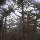 송정주차장 이미지