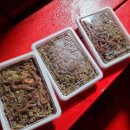 이마트24 태안마검포점 이미지