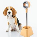 애견용품 할인매장 이미지