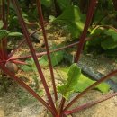 문수농장 이미지