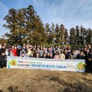 은행나무농장 이미지