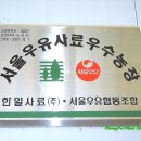 김화목장 네이버블로그
