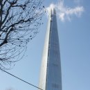 롯데타워 이미지