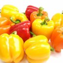 도곡농장2 이미지