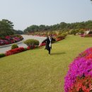 대진요양병원