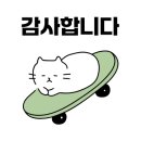스마트폰으로 찍는 상황별 사진촬영(야간) | 스마트폰 카메라 활용법: 초보자도 전문가처럼 고품질 사진 찍는 방법