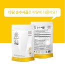 순수다담 이미지