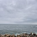 바라본바다 이미지