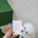 저단12 이미지