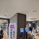 인피니티클럽 | 부산 수영장 워터파크 클럽디오아시스 후기 [주차정보, 인피니티풀]