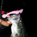 슈 당구장 이미지