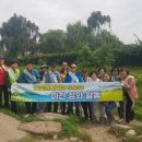 수원시 장안구 수원천 수원시민신문