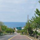 썸오락실 | 꿀팁 | &#34;제주투어패스&#34;로 제주 가성비 여행 즐기기(구매 및 이용방법, 72시간권 실제 이용후기 대방출)