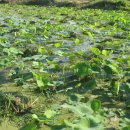 호연농장 이미지