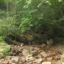 숲속 게르 하우스 이미지