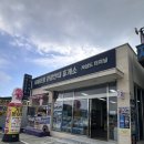 지심도 | [탐방] 거제 지심도 유람선 이용정보, 후기