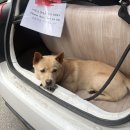 프린스세탁소 이미지